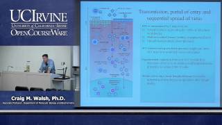 Biological Sciences M121 Immunology with Hematology Lecture 21 Failures of the Bodys Defenses [upl. by Enaywd]