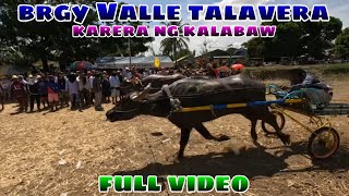 BRGY VALLE TALAVERA KARERA NG KALABAWFULL VIDEO [upl. by Lletnahc]