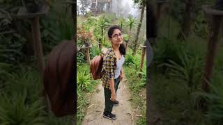 📍Lolegaon Kalimpong shorts shortsfeed trendingshorts youtubeshorts shortsvideo youtubeshorts [upl. by Nainatrad]