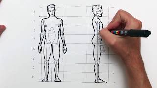 Como dibujar la figura humana paso a paso El cuerpo del hombre y sus proporciones [upl. by Gaidano]