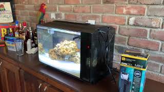 Fluval sea evo 135 with Fluval ps2 protein skimmer review [upl. by Kenley]