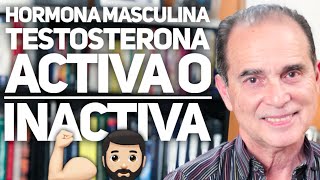 Episodio 95 Hormona Masculina Testosterona Activa O Inactiva [upl. by Jolanta]