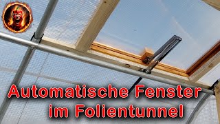 Automatikfenster im Folientunnel  automatische Fensteröffner  DIY  selber bauen [upl. by Agathy]