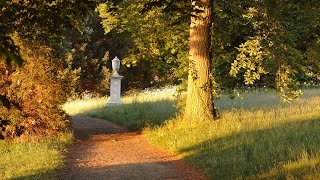 Unkraut jäten im Neuen Garten  SPSG [upl. by Almire473]