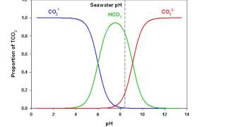 DIC The Carbonate System In the Ocean [upl. by Kinson826]