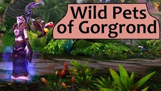 Wild Battle Pets of Gorgrond Draenor Safari Guide [upl. by Uehttam]