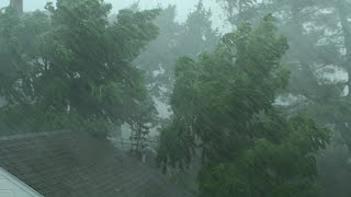 Heavy Rain and Wind Sounds For Sleeping  Relaxation  10 Hours [upl. by Kurtz]