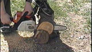 Stihl MS 170 Chainsaw StartUp amp Test Cut [upl. by Pennie]