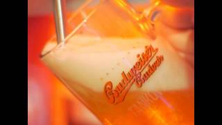 Budweiser Budvar Tankové Pivo Beer Pour in 10 Seconds [upl. by Naujak]