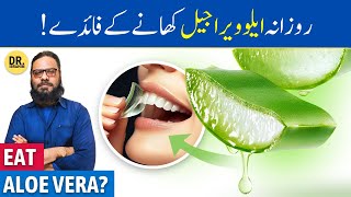 Hardin ALOE VERA GEL Khane Ke Fayde  Eating Aloe Vera Gel Everyday  Dr Ibrahim [upl. by Faxan]