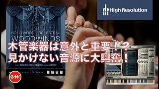 EastWest Hollywood Woodwinds オーバービュー 【日本語字幕】 [upl. by Bonn]