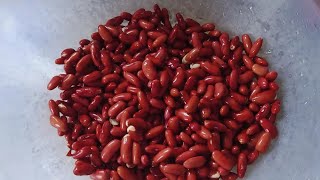 comment cuire les haricots rouges red beans recipe [upl. by Alban]