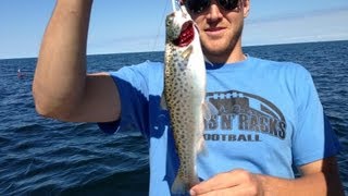 Lake Erie Trolling 2013  Brown TroutSteelheadWalleye [upl. by Aurea]