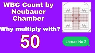 WBCs Manual Count through Neubauer Chamber and its calculation [upl. by Kathlene]