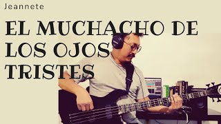 Jeanette  El Muchacho De Los Ojos Tristes bass cover [upl. by Oderfodog]