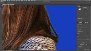 Refine Edge in Photoshop CS5 [upl. by Abramson]