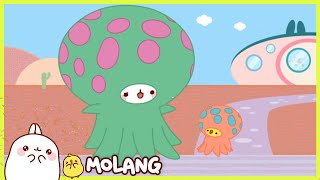 Molang  The aquarium  More MolangCartoon ⬇️ ⬇️ ⬇️ [upl. by Damour263]