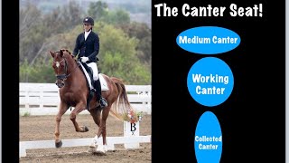 The Canter Seat Think Circles and Ovals [upl. by Lenod753]