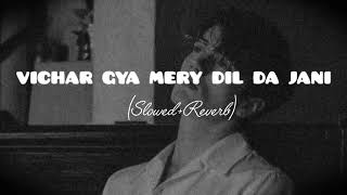 VICHAR GYA MERY DIL DA JANI Slowed and Reverb Nfak qawwali [upl. by Yauqram]