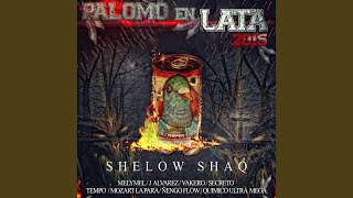 Palomo en Lata 2015 [upl. by Marvin]