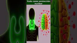 💊 Yodo Protección en Casos de Radiación ⚛️🛡️ [upl. by Stroud]