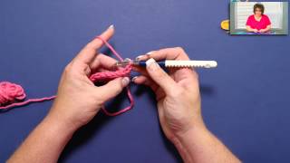 Learn How to Half Double Crochet with Marly Bird [upl. by Walden93]