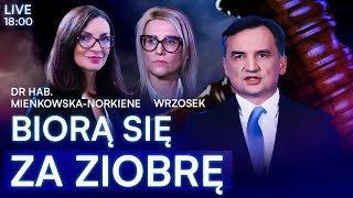 ZASKAKUJĄCE DONIESIENIA WS ZDROWIA ZIOBRY  Prokurator Wrzosek MieńkowskaNorkiene  NA ŻYWO [upl. by Marney926]