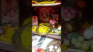 Dol purnima nishi pls like share and subscribe bengalilakhsmipanchali aditimunshi shorts [upl. by Aramac]