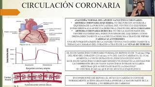 FISIOLOGÍA FLUJO SANGUÍNEO MUSCULAR y GASTO CARDÍACO DURANTE EL EJERCICIO LA CIRCULACIÓN CORONARIA [upl. by Eppie99]