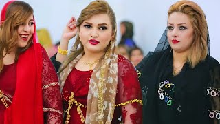 Best Kurdish wedding dance 2024 [upl. by Elocim]