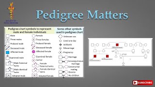 Pedigree Matters [upl. by Eneiluj481]