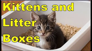 Kitten Litter Box Training Made Simple Fun Effective Techniques for Success [upl. by Elleirol]