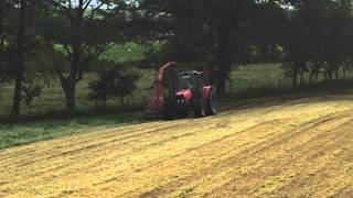 Massey Ferguson 6480 Cutting Silage With An NC 200 Single Chop Forage Harvester 8715 [upl. by Ahsyia37]