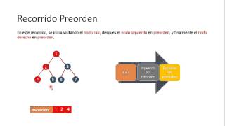 Recorrido en preorden funcionamiento [upl. by Nolahs]