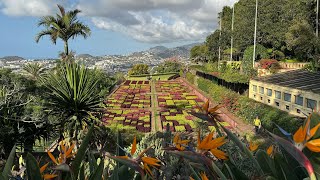 Jardim Botânico da Madeira  A Walk Around in 4k madeira funchal portugal travelvideo [upl. by Aramo]