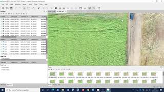 Geoid Definition in Agisoft Metashape [upl. by Nonnahc]