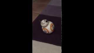 BB8 Sphero voice command [upl. by Eelac]