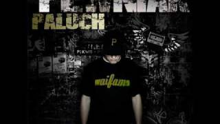 Paluch  Ile Jesteś Wart feat Onar [upl. by Ellehsat]