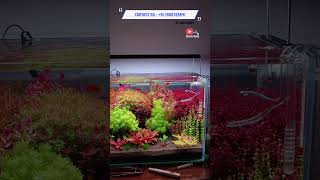 Aquascaping Aquarium Plant Available for Sale In Ahmedabad Gujarat India shorts trending viral [upl. by Egrog]