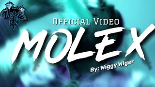 WIGGY WIGER  Molex Oficial Video ft Kre Sk [upl. by Phelips878]