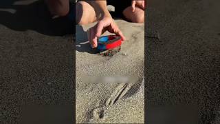 Extracting Iron from Sand shortsvideo [upl. by Niamjneb768]