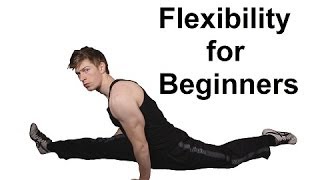 10 Minute Beginner Flexibility Training Get Flexible At Home [upl. by Arahk]