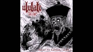 Ululate  Decease and Sadness  Chinese Death Metal [upl. by Sallad]