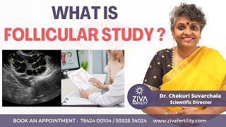 What Is Follicular Study  Fertility Tips  ZIVA Fertility  Dr Chekuri Suvarchala [upl. by Aicemak]