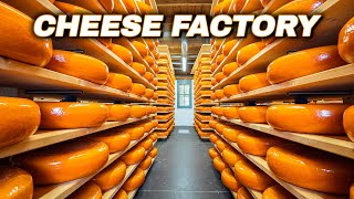 How Cheese Is Made  Cheese Production Line  Cheese Factory [upl. by Yartnoed]