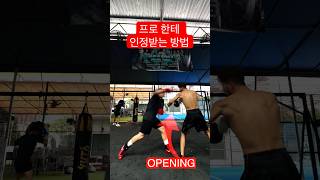 프로한테 인정 받는 순간 포착 boxing 복싱 스파링 [upl. by Ayitahs]