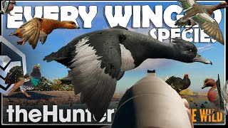 Hunting EVERY WINGED SPECIES in the GAME Ducks Geese Turkeys Upland Birds Call of the Wild [upl. by Tihom]