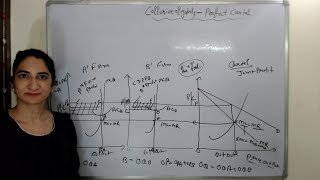 Collusive Oligopoly  Perfect Cartel [upl. by Solrac]