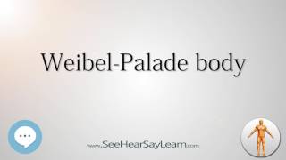 Weibel Palade body Anatomy Named After People 🔊 [upl. by Annoet]