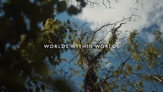 Josh Garrels  Worlds Within Worlds [upl. by Ennej854]